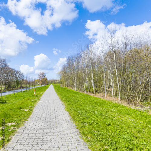 levee with sandy path to beach at baltic sea