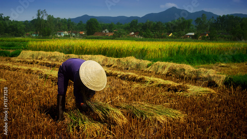 Φωτογραφία Vietnam