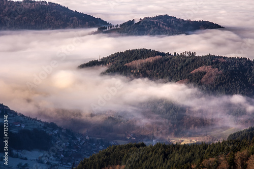 Morgenstimmung Schwarzwald