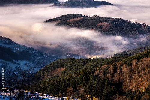 Morgenstimmung Schwarzwald