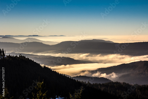 Morgenstimmung Schwarzwald