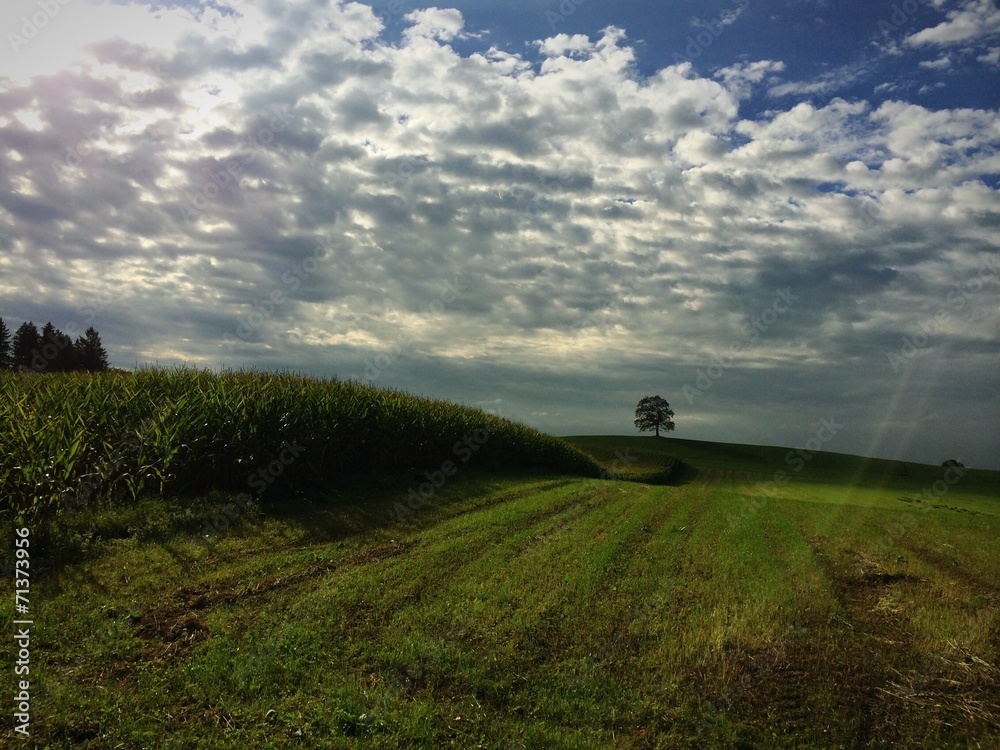 Leuchtendes Wolkenmeer prägt die Landschaft Leuchtendes Wolkenmeer prägt die Landschaft