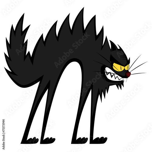 Cool cats - an angry black tomcat's fury