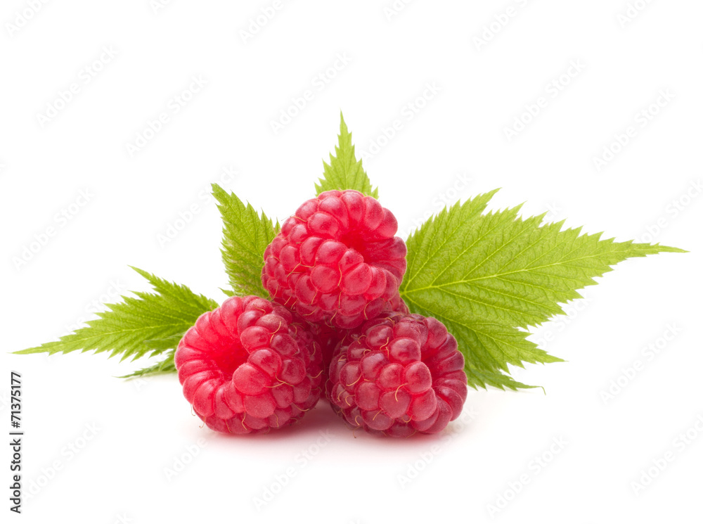 Sweet raspberry isolated on white background cutout Sweet raspberry isolated on white background cutout