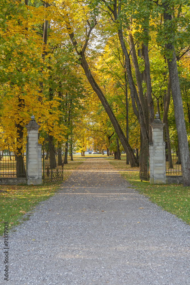 Ancient Gate In The Park