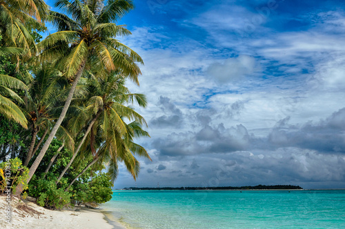 Fototapeta Naklejka Na Ścianę i Meble -  Maldives -Island in the Ocean, Beach and Рalm trees