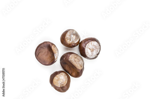 Five chestnuts laying on white background