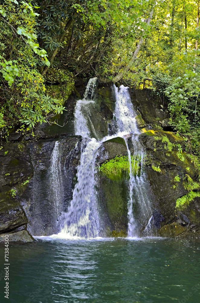 Fototapeta premium Water fall Flowing into Lake