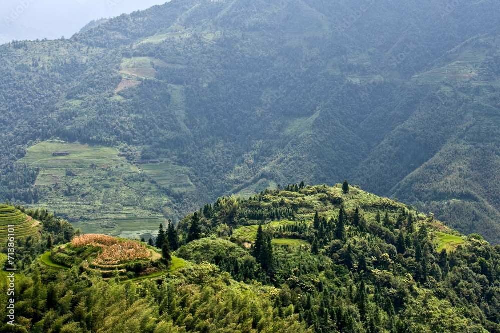 Fototapeta premium Rice terraces in the mountains.