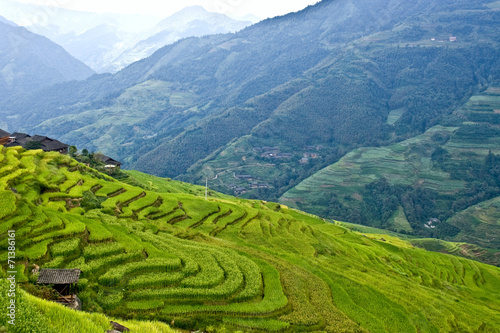 Rice terraces in the mountains.
