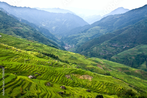 Rice terraces in the mountains.