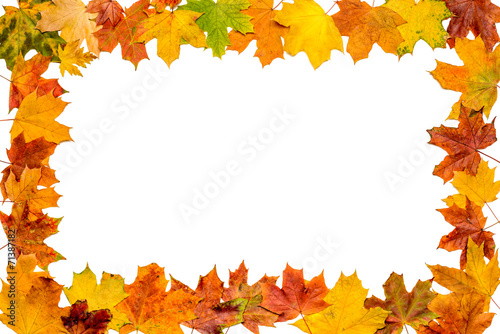 A frame made with autumn maple leaves isolated on white background