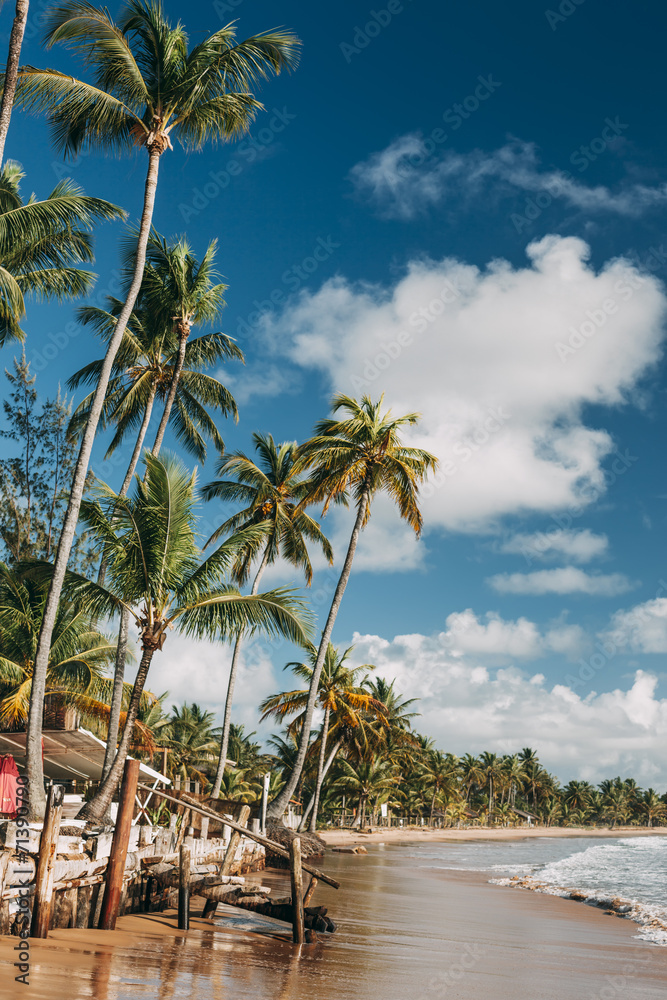 Obraz premium Taipu de Fora beach in Marau, Bahia, Brazil.
