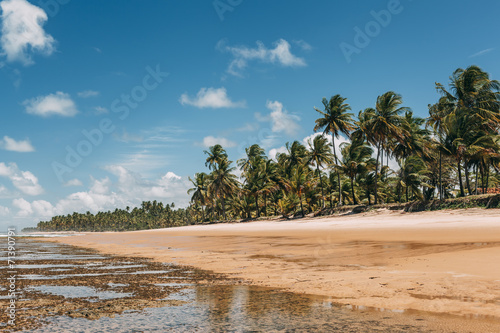Low tide on Taipu de Fora beach, Marau, Brazil. photo