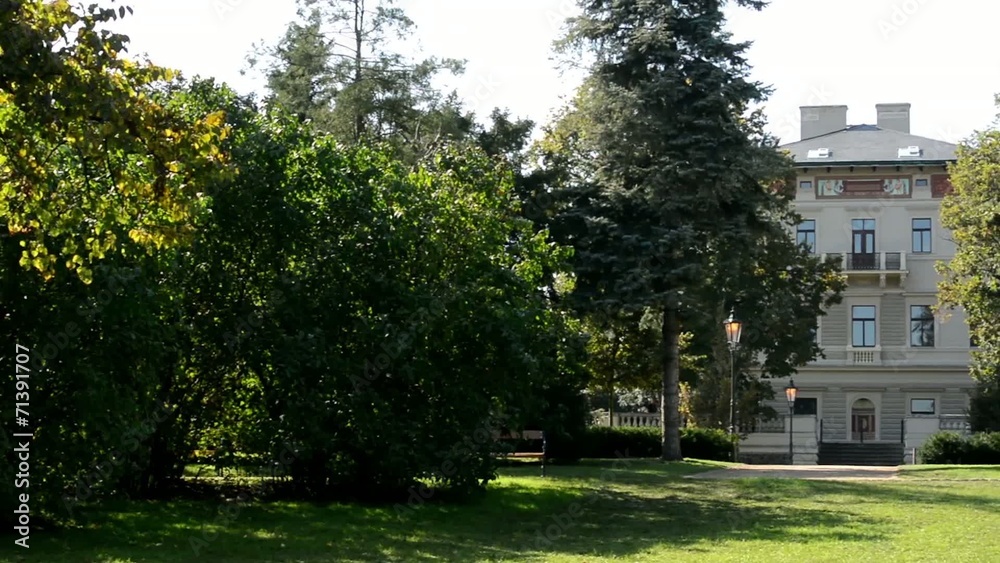park - green nature (trees) - pavement and bench -sunny park - green nature (trees) - pavement and bench -sunny
