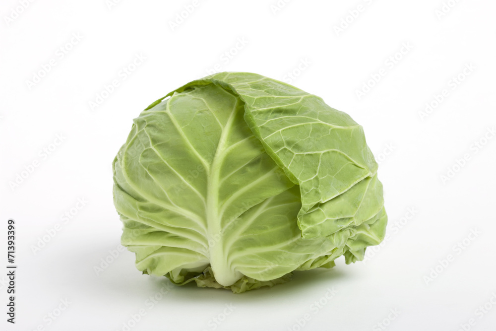キャベツ キャベツ