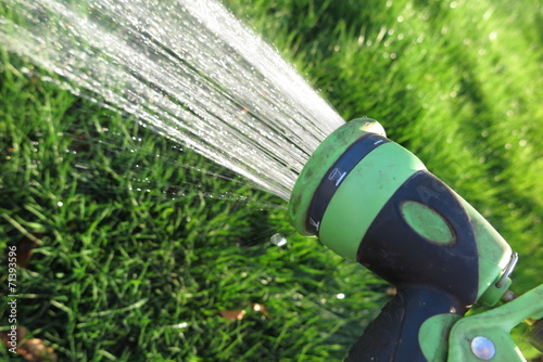 Watering lawn grass with an adjustable shower (spray) photo