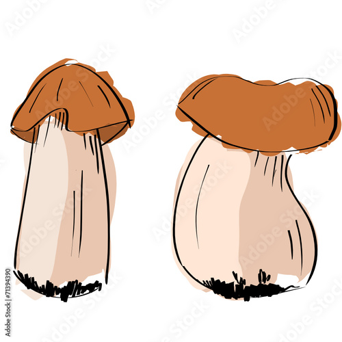 Funghi