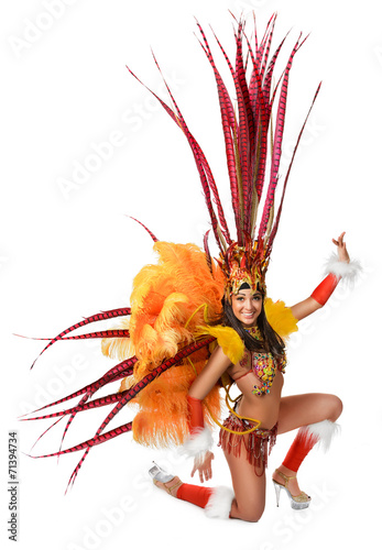 Smiling beautiful girl in a colorful carnival costume
