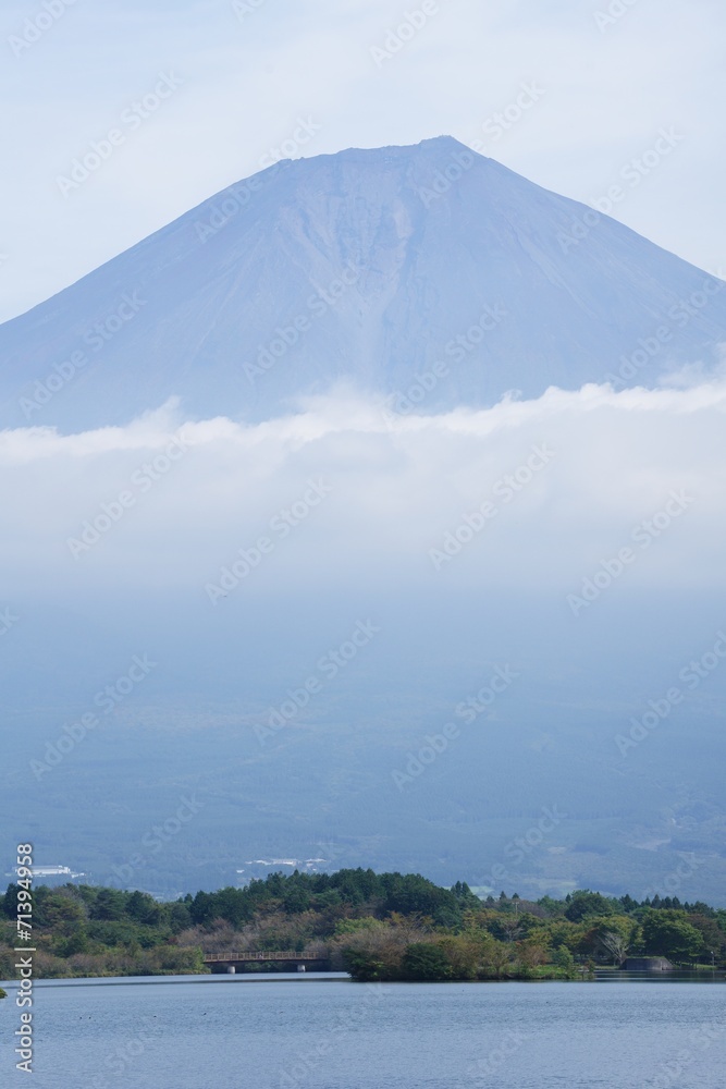 Fototapeta premium 田貫湖から見た富士