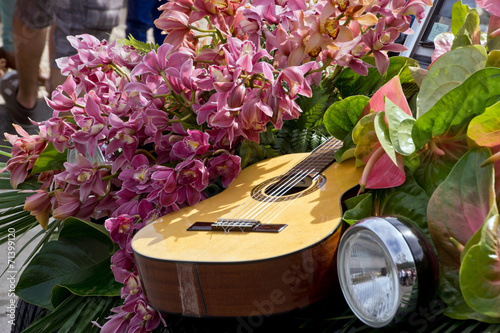 Fototapeta Naklejka Na Ścianę i Meble -  Blumenfestival in Madeira