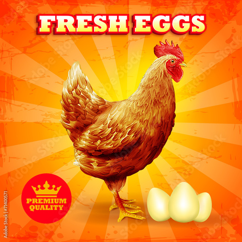 fresh eggs