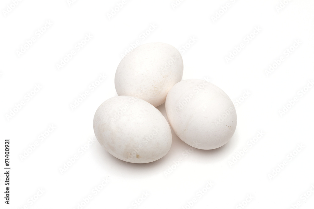 Egg on the white background
