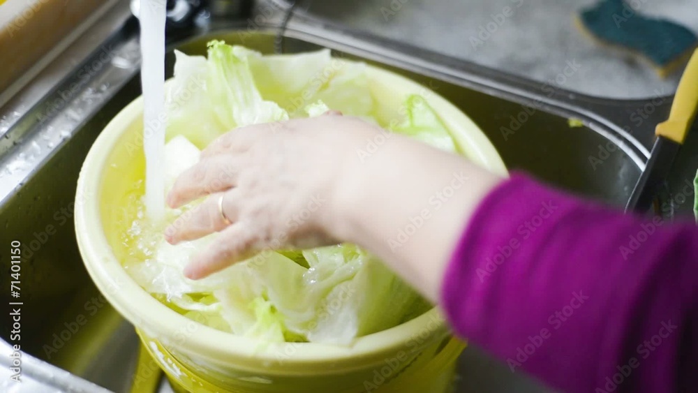 close up housewife hands woman washing salad in the home kitchen close up housewife hands woman washing salad in the home kitchen