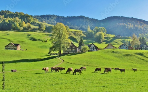 Herbst auf der Alp, Toggenburg