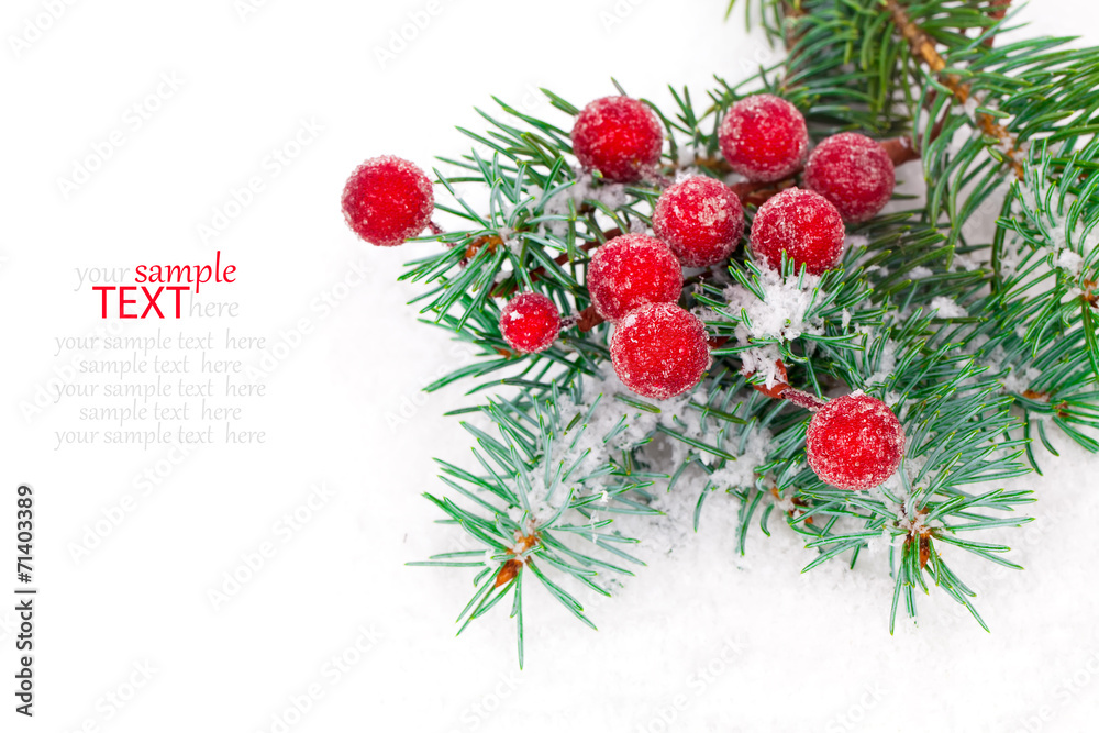 fir branches with Christmas decorations, isolated over white