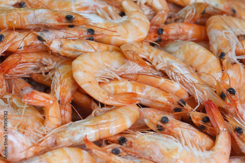 Background of shrimp closeup horizontal