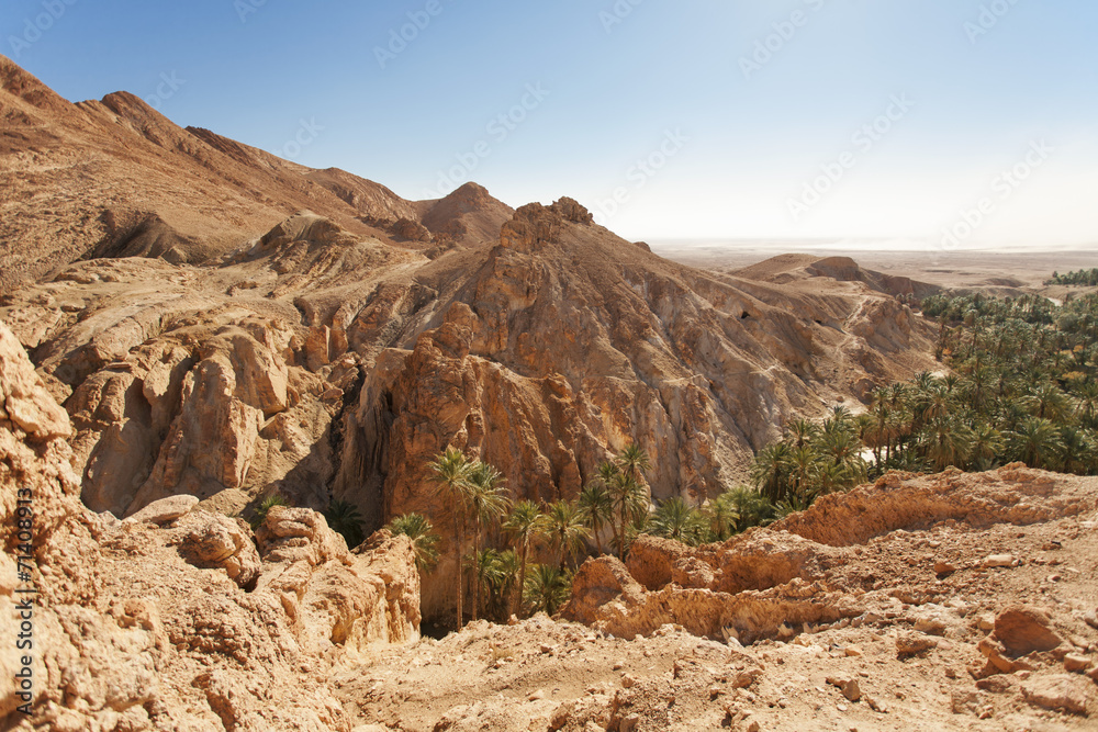 Sahara Stone Desert