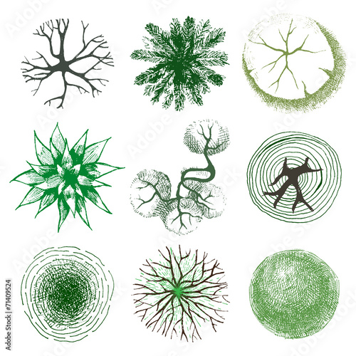 Trees - top view. Easy to use in your landscape design projects!
