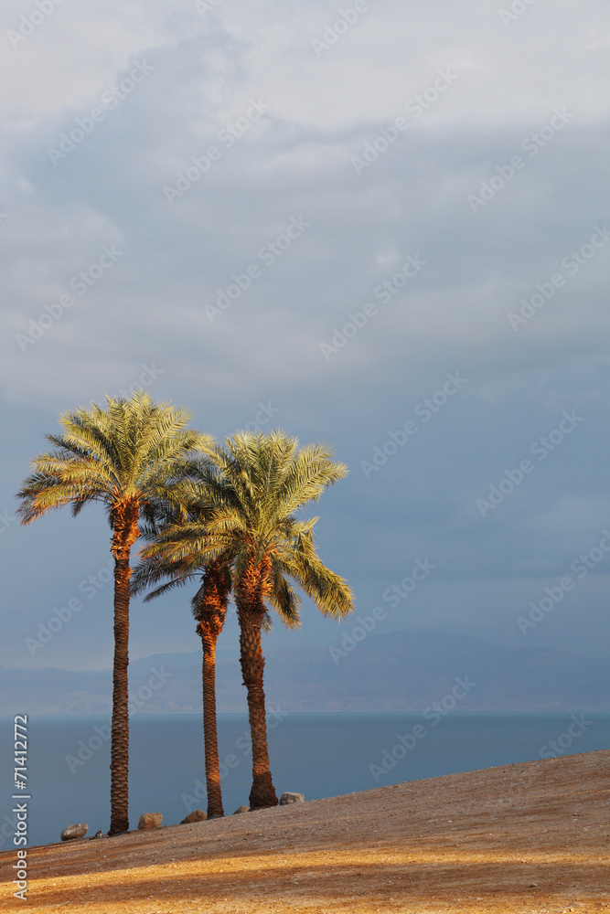 Fototapeta premium Gorgeous day in January on the Dead Sea
