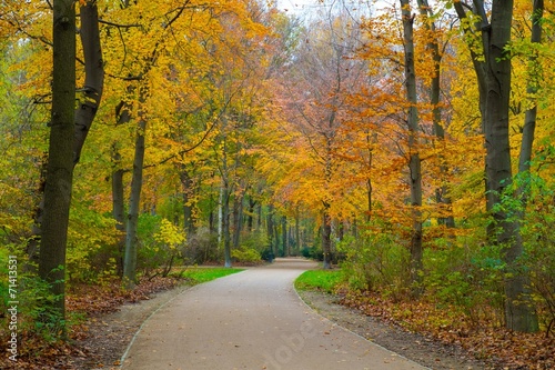 Beautiful autumn park in Berlin, Germany