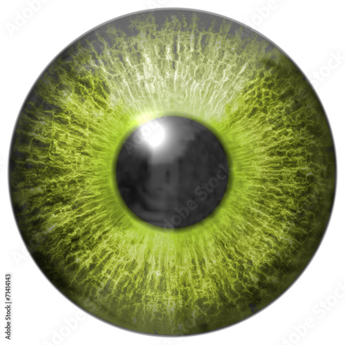 Fototapeta Naklejka Na Ścianę i Meble -  Eye iris generated hires texture