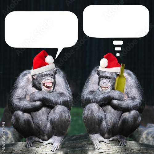 Obraz na plátne Two drunken chimpanzees have a fun on christmas party.