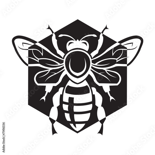bee and honey
