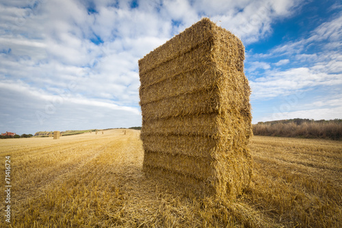 Straw bales stacked in field at harvest time, Yorkshire