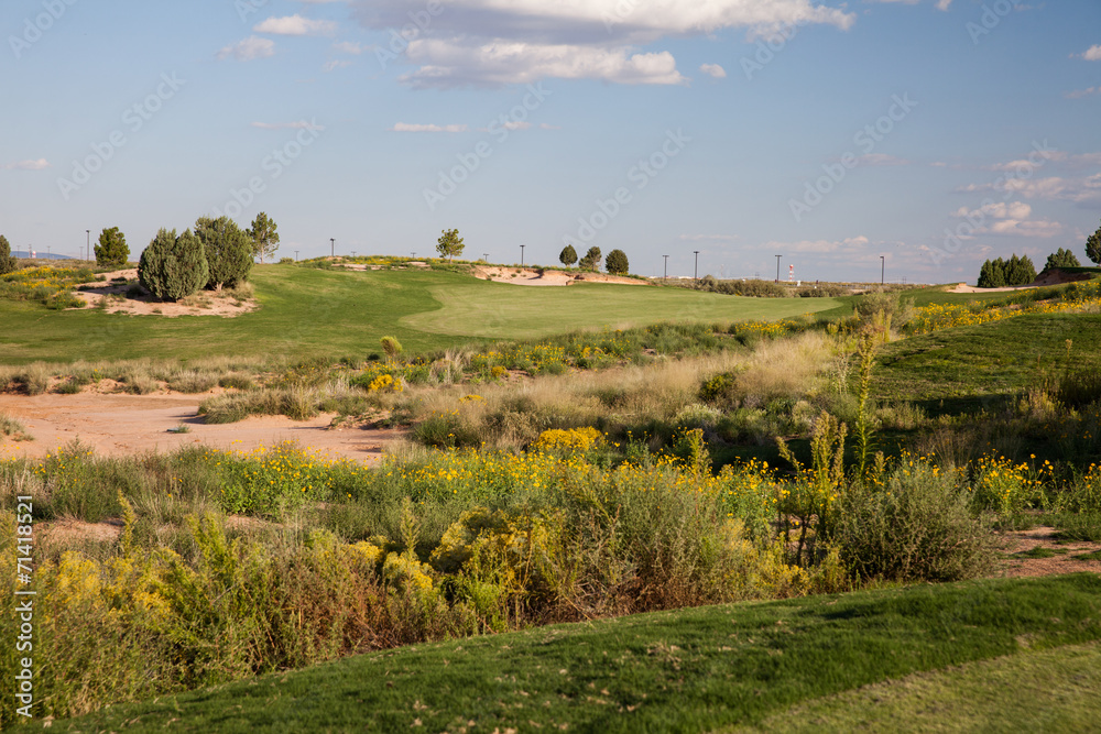 Desert Golf Course