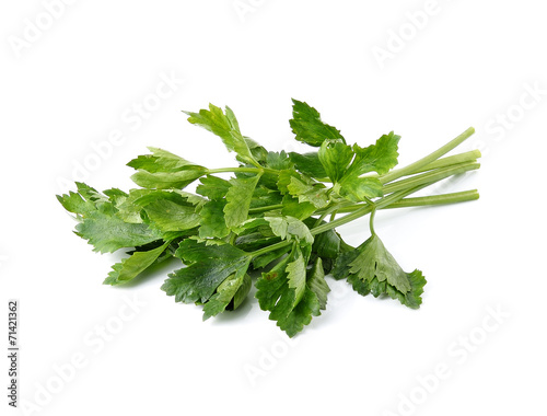 Fresh green celery isolated on white