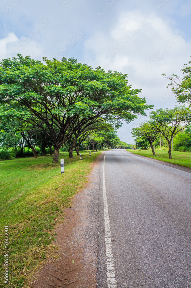 Beautiful road with nature scene