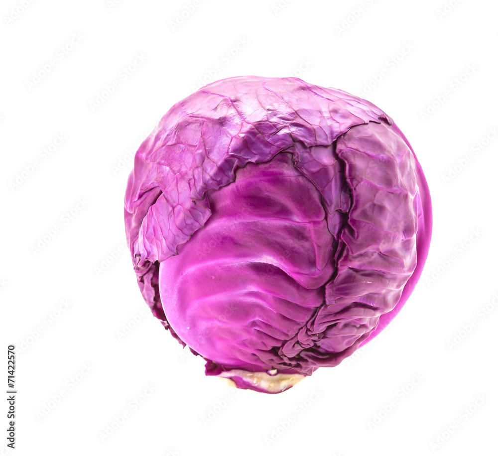 Cabbage isolated on white Cabbage isolated on white