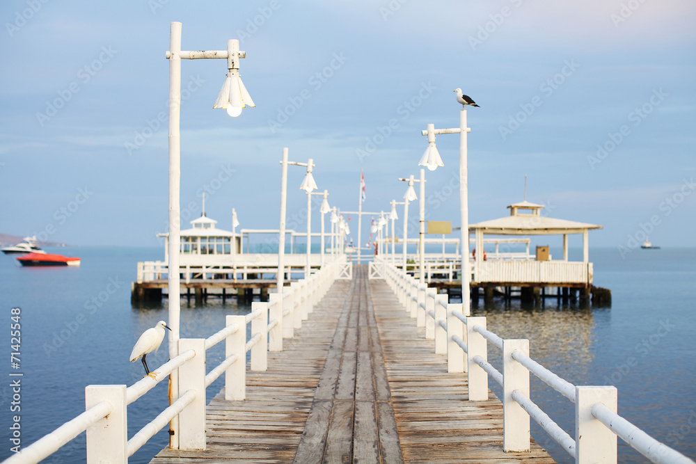 Old wooden pier over the sea shore with birds