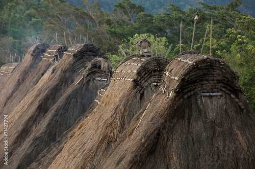 Traditional village Bena rooftops in Flores island photo