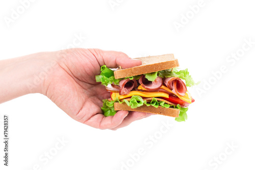 Sandwich in hand isolated
