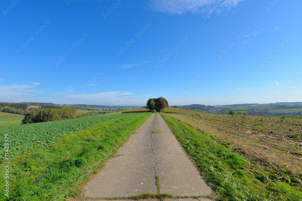 Fototapeta premium Herbst Landschaft Sonne