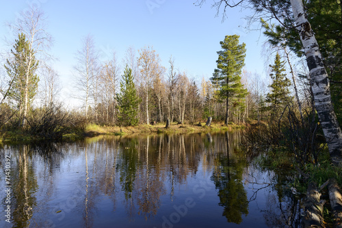 scenic autumn landscape of river and trees in northern Russia