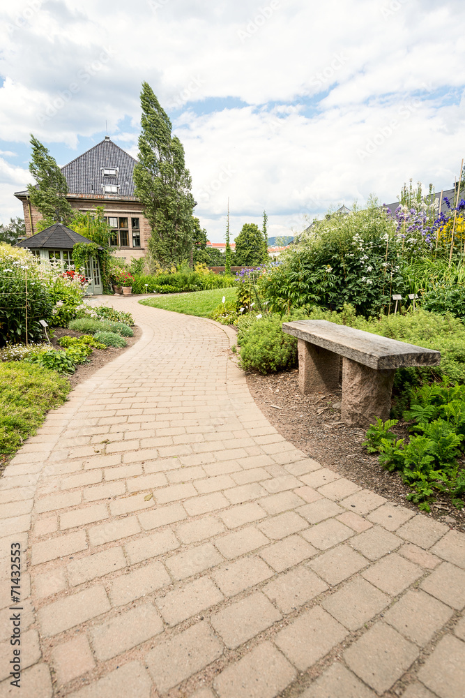 Walkway in a garden