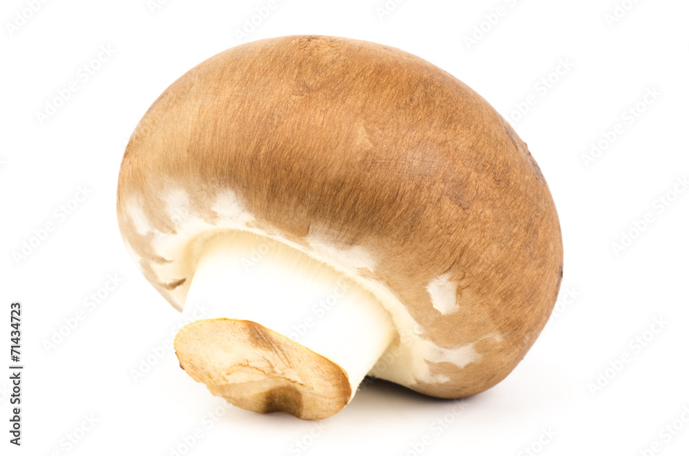 Fototapeta premium Fresh champignon mushroom